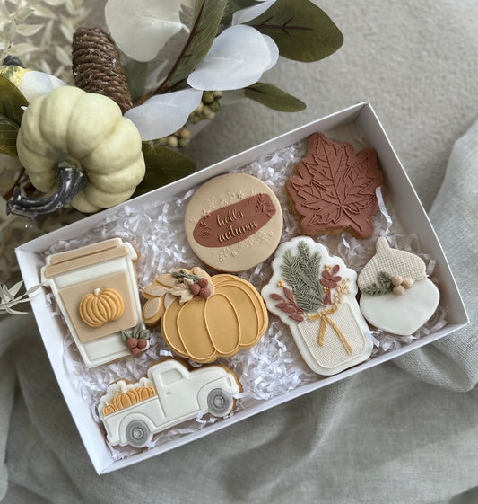 Grand coffret automne